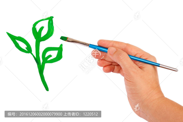 手在白色背景上畫一個(gè)綠色的芽