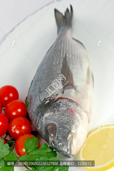 烏頰魚
