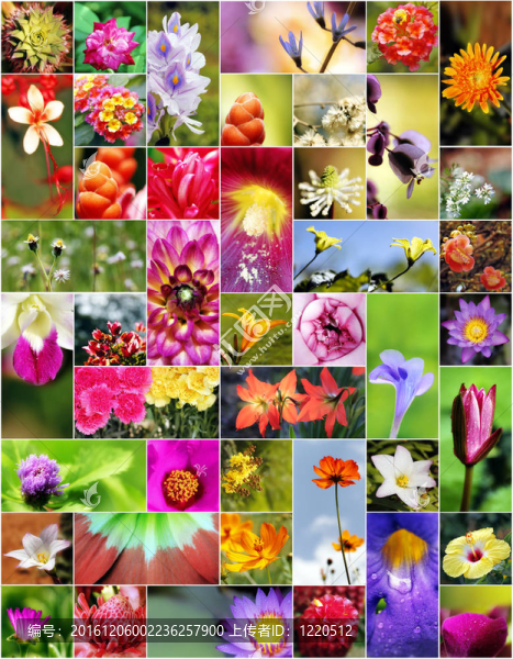 花