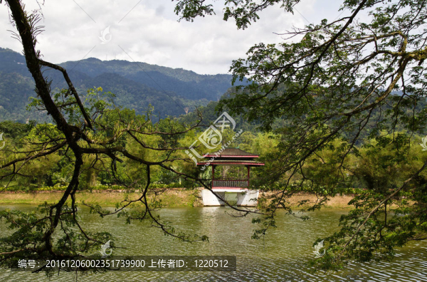中國(guó)式?jīng)鐾I