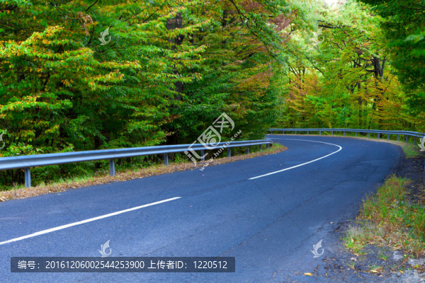 穿過(guò)樹(shù)林的柏油路。