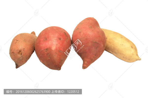 甜土豆