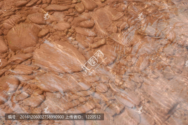 河里的棕色水