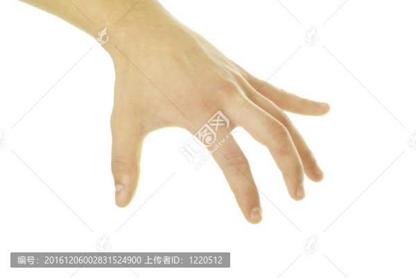 手