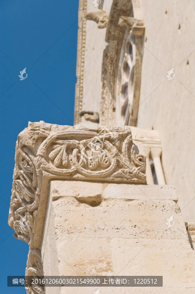 大教堂。Trani。Apulia。
