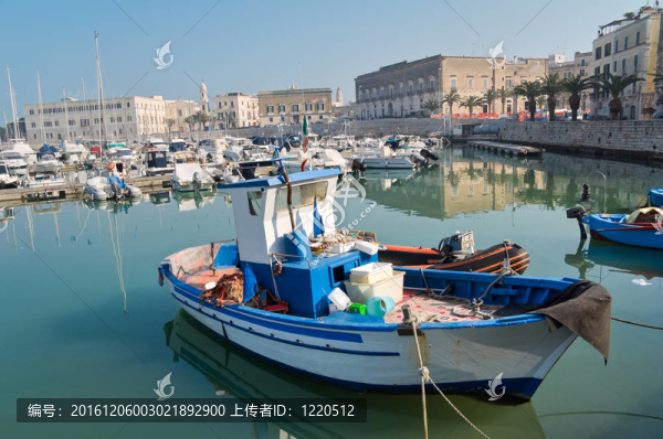 特拉尼海港全景。Apulia。