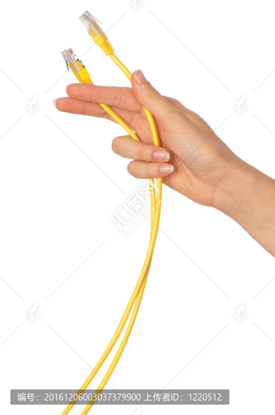 蘭線