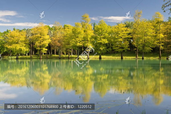 景觀湖