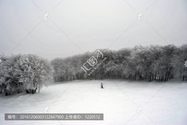 孤獨的滑雪者