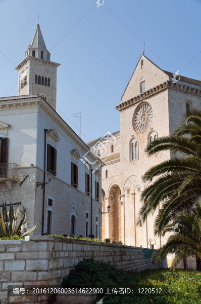 大教堂。Trani。Apulia。