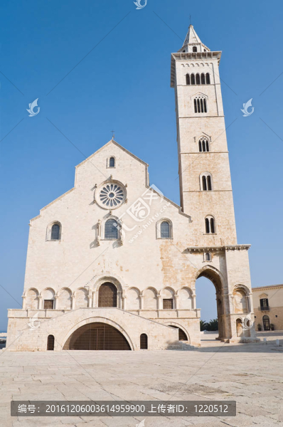 大教堂。Trani。Apulia。