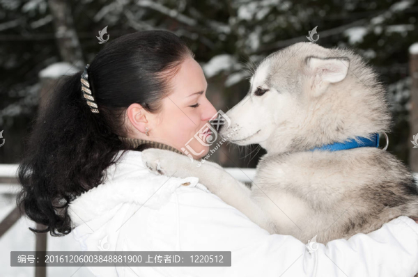 哈士奇犬主人的快樂