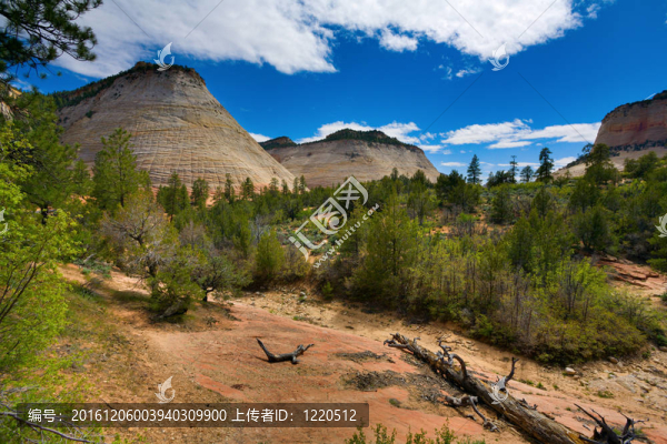 棋盤山