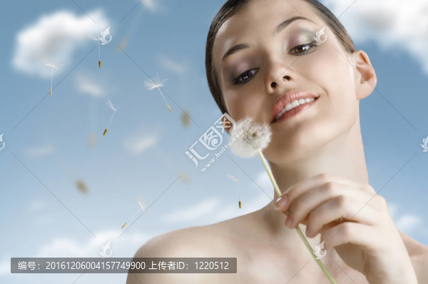 蒲公英在手