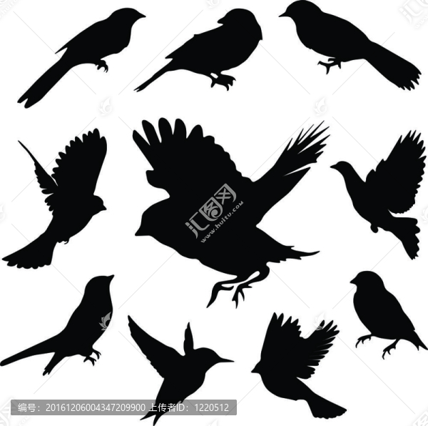 集鳥(niǎo)