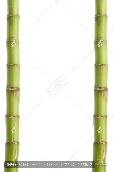 鮮竹邊框或背景