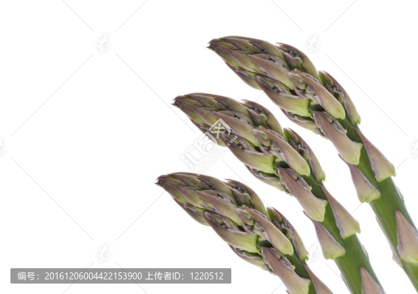 新鮮蘆筍的細(xì)節(jié)