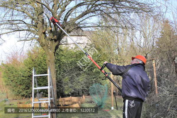 緊湊型電動(dòng)鋸；提出持有人；花園工人。