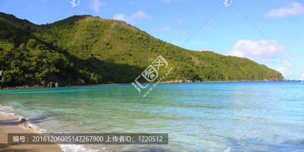 Tortola啤酒灣