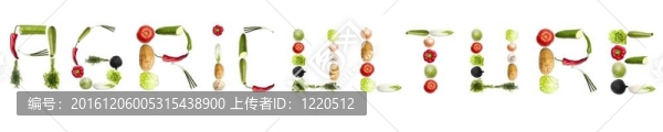 蔬菜的農(nóng)業(yè)詞