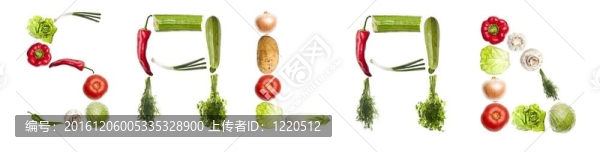 蔬菜沙拉詞