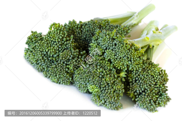 布羅科利尼