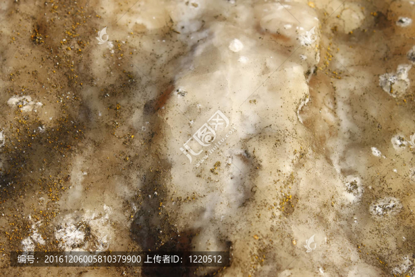 瘋狂的石頭