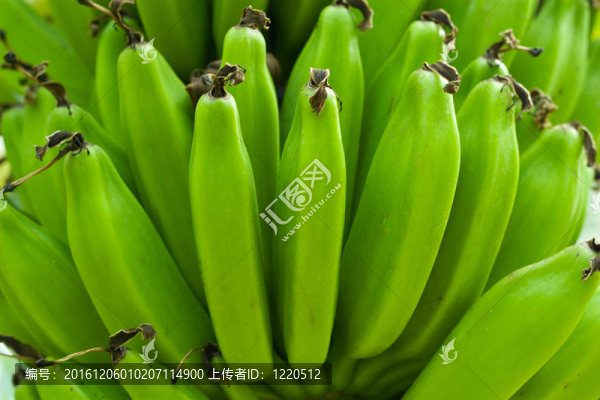 青香蕉