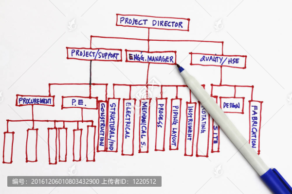 組織結(jié)構(gòu)圖