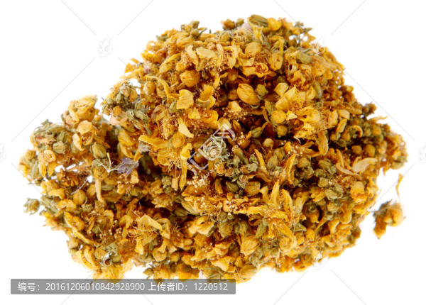 藥用植物；約翰的白色背景（金絲桃草；
