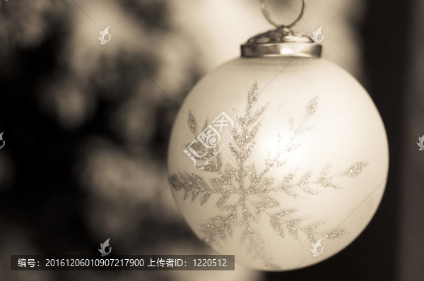 雪晶裝飾