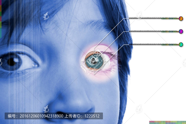 虹膜scanbiometric身份