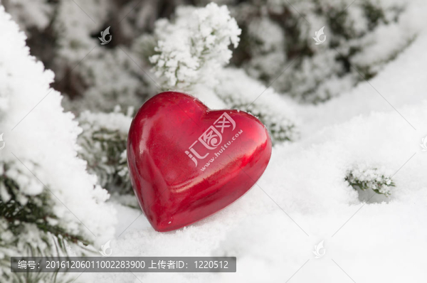 雪中的紅心
