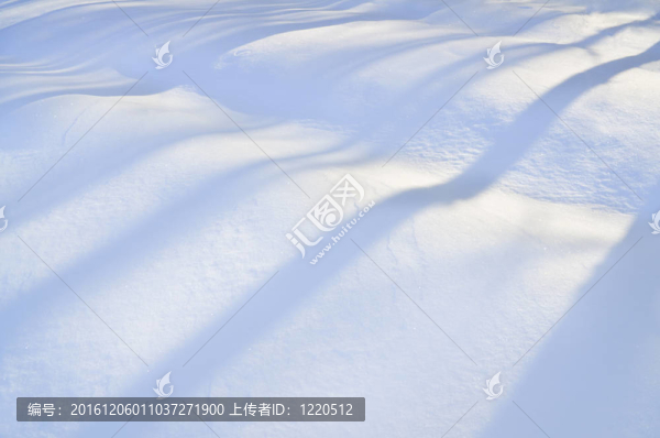 雪景