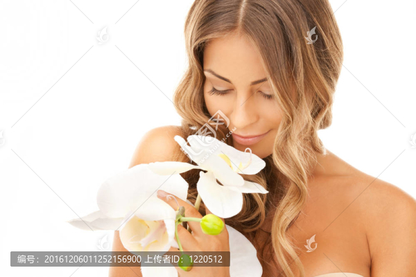 花蘭花美女