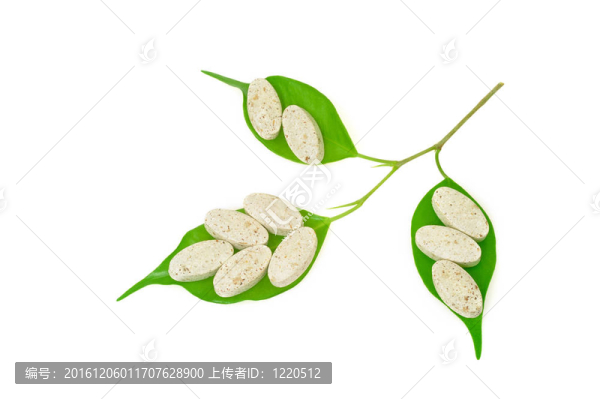天然補(bǔ)丸與鮮葉