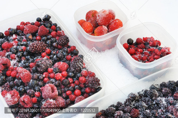 冷凍漿果在雪紅加侖塑料容器；蔓越莓；覆盆子；黑莓；越桔；藍(lán)莓；黑加侖；草莓