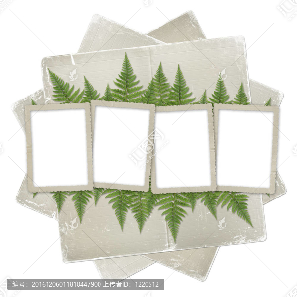 白色的背景與紙架和一束小枝蕨類(lèi)