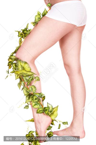 雙足綠葉。