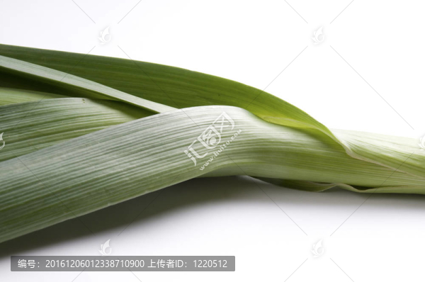 韭菜