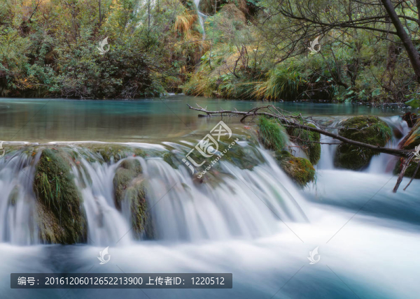 森林溪流