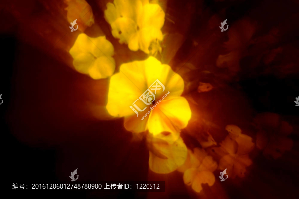 花香尾韻