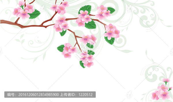 春花櫻花。