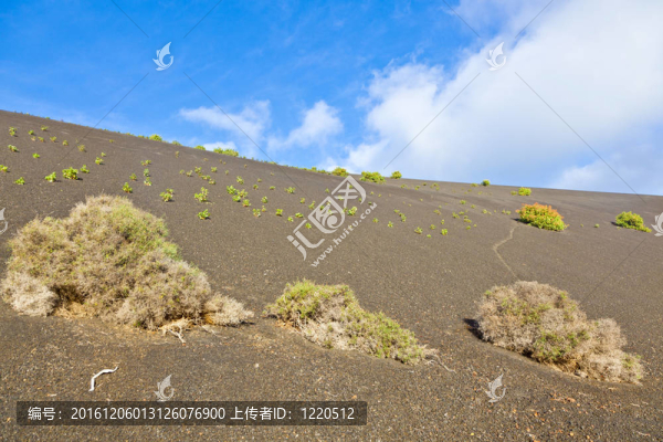 稀疏的植被在蒂曼法亞國家公園路線的火山