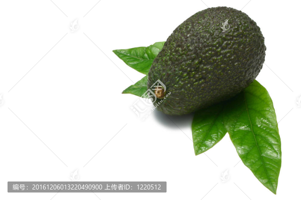 一整個(gè)鱷梨
