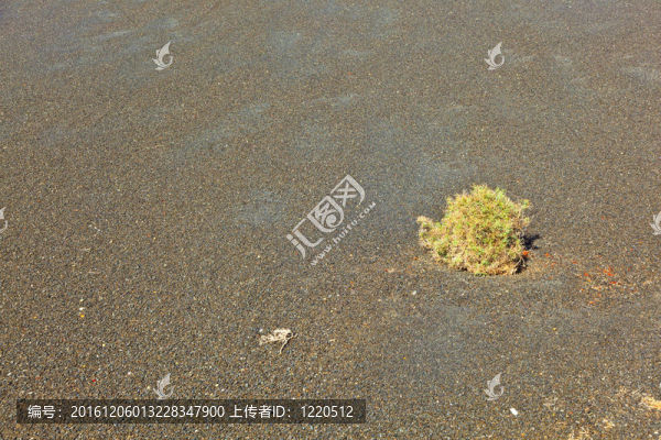 稀疏的植被在蒂曼法亞國(guó)家公園路線的火山