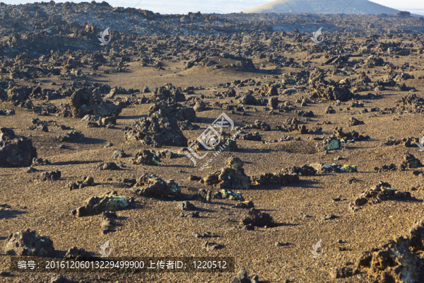 蘭薩羅特島國家公園火山巖層蒂曼法亞；西班牙