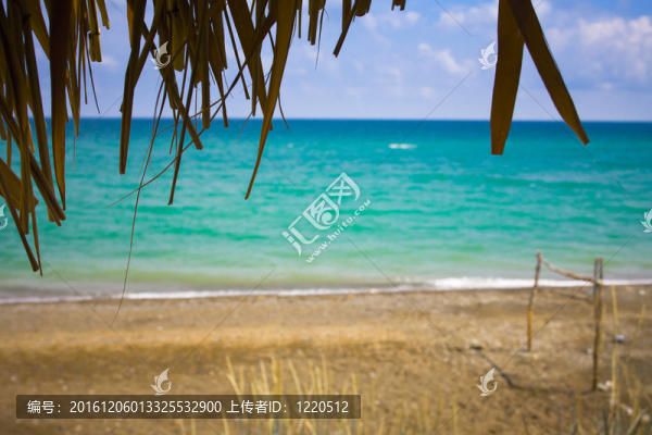 度假村tbeach