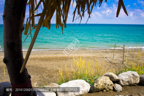 度假村tbeach