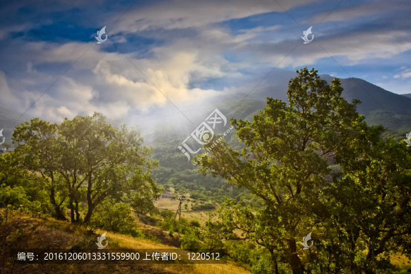 美麗的風(fēng)景